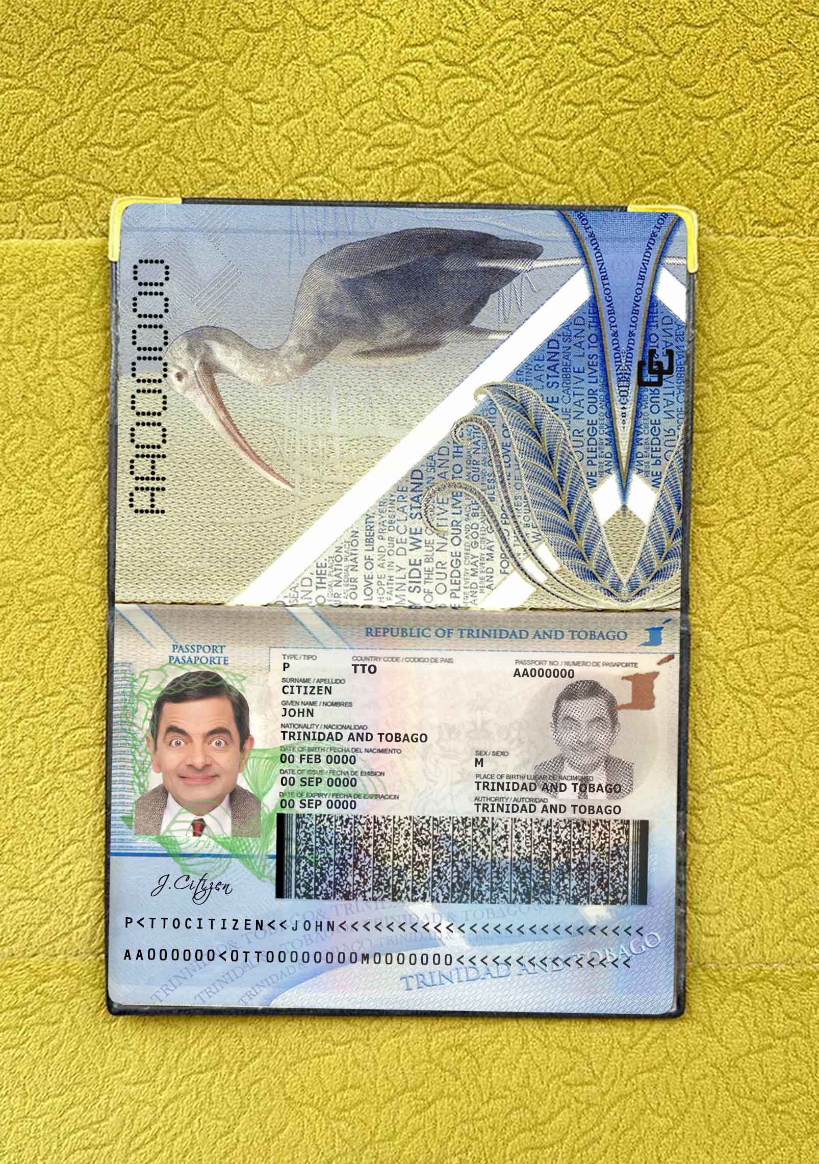 Trinidad and Tobago passport photo look PSD template